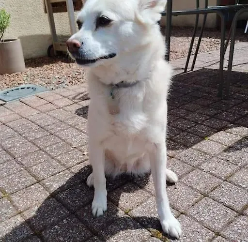 Le Pre Ducrot Feriehus *